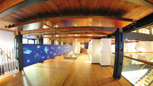 Das Abenteuer Seefahrt erleben