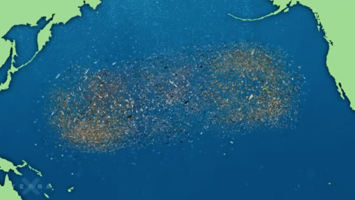 Wie kommt unser Plastikmüll ins Meer?