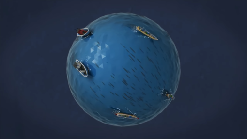 Die Überfischung der Meere