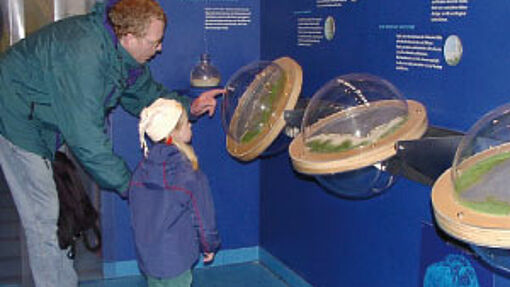 Das Watt im Wandel der Jahreszeiten