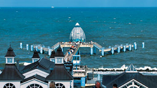 Eintauchen in die Welt der Ostsee