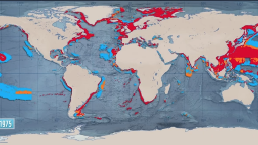 Europas Hunger auf Fisch