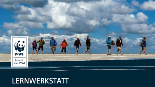 Tolle Materialien für den Unterricht