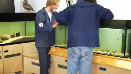 Artenvielfalt auf der grünen Insel