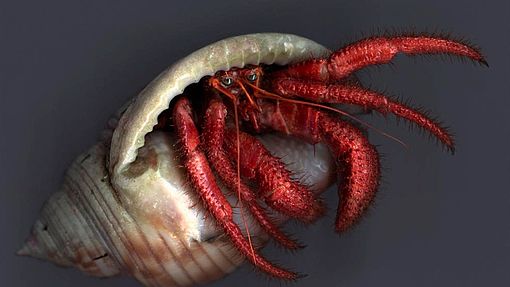 Gemütlich von zu Hause